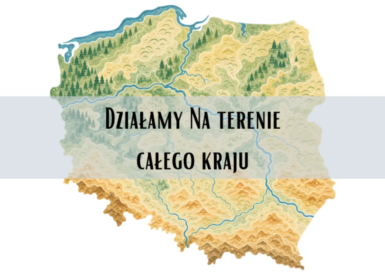 zdjęcie_81